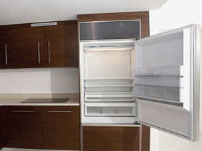 梦见冰箱有蛆虫,梦见冰箱长满虫子