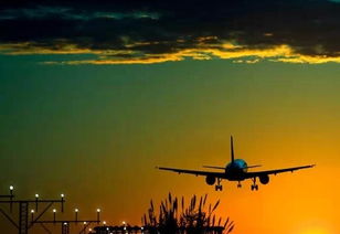 梦到飞机砸向自己，梦见飞机坠落自己被砸