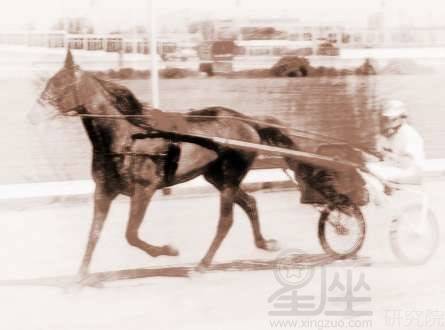 梦见坐牛拉车回家，梦见自己坐牛拉车去赶路