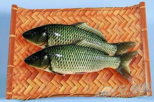 梦见别人送草鱼给我，梦见送鱼给我