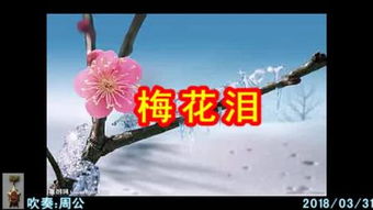 梦见了过山车，做梦梦到过山车什么意思