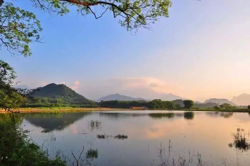 梦见山顶仙境，梦见山顶上有湖是什么预兆