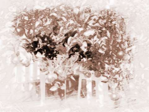 梦见两个桔子，梦见两个橙子是什么意思