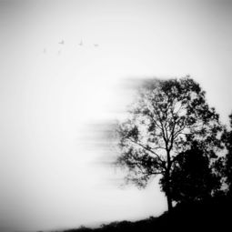 梦见女人在坟墓前哭，梦见女人哭坟