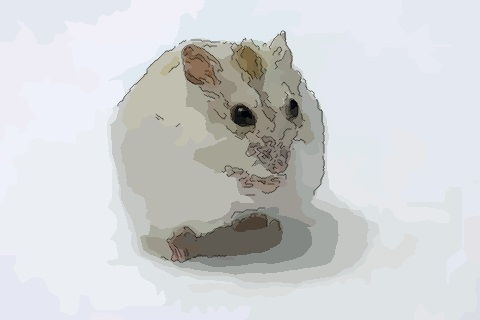 梦见一老鼠，昨天晚上梦见老鼠了