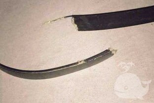 梦见自己腰烂个大窟窿，梦见腰伤了