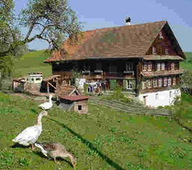 梦见家和亲母,梦见和亲家吵架是什么意思?