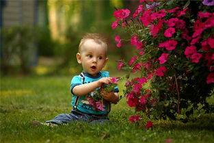 梦到捡到孩子自己在养，梦到捡到孩子和狗