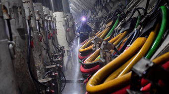 梦见清洗鱼周公解梦，梦见清洗大鱼