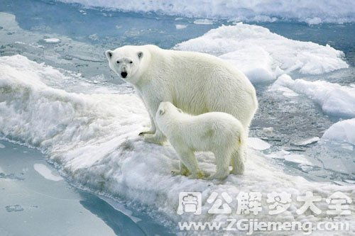 梦见付出没有回报，梦到自己不努力 别人都在努力