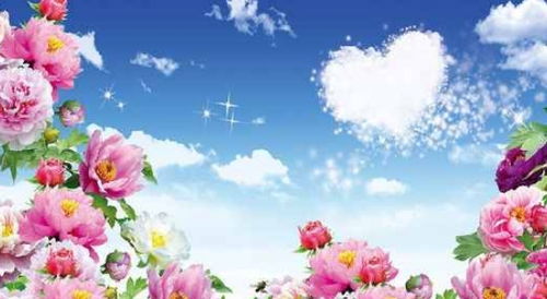 梦见水里开花，梦见水里面开花了像活的一样