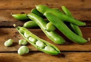 梦见买蚕豆是什么意思，梦见买了好多炒蚕豆预示什么