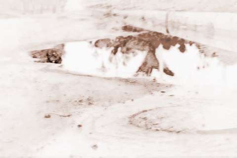 梦见地上好多白色珍珠，梦见一地的珍珠