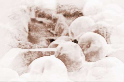 梦见捾才，梦见棺材好不好