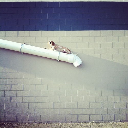 梦见水管断，梦见水管断开哗哗流水