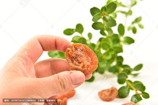 梦见情人有外遇是什么预兆,梦见情人的老婆是啥意思