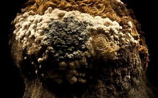 梦见地面烂了什么预兆，梦见地板烂