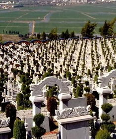 梦见大片坟地被挖，梦见大片坟地都是开的花