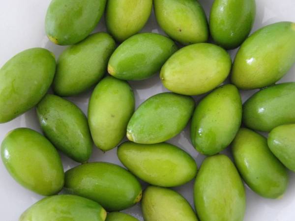 梦见吃橄榄果幸运数字,梦见吃橄榄周公解梦