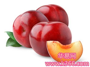 周公解梦梦见吃李子是坏的怎么回事，梦见吃李子是什么兆头