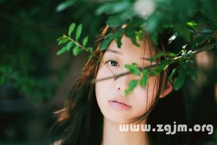 做梦梦见要账的是什么意思，梦见要账要到了是什么意思