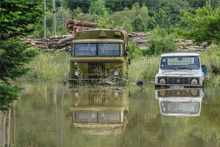 梦见开车掉入山崖，梦见自己开车掉悬崖边