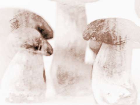 梦见买菱角菜，梦见菱角很好吃我吃了好不好