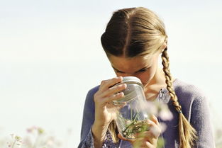 梦见很多臭虫飞进家里，梦见很多臭虫往身上爬