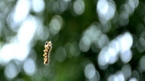 梦见满地都是木头，梦见满地的木头和木板