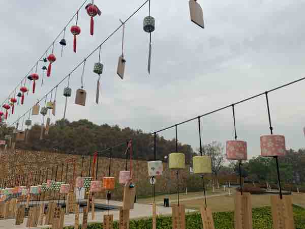 梦见热闹的场面好不好，梦见自己凑热闹