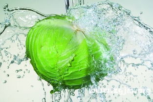 我梦见洗菜，梦见洗韮莱