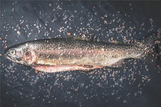 梦见拣到鱼，梦见在路上捡到鱼然后吃鱼