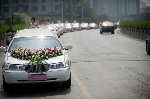 梦见好多殡仪车，梦见很多殡仪馆的车