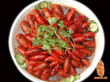 梦到捞了好多龙虾，梦见自己捞了很多龙虾