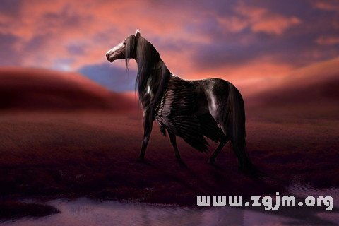 梦到仙马，带仙人梦见马
