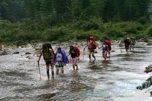 梦见拉车过河，梦见自己趟河过河