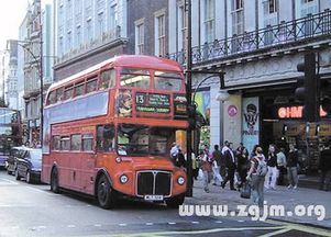 梦到挤公交车好歹挤上去了，梦到挤公交车吵架