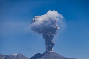 梦到灰尘很厚，梦到灰尘絮