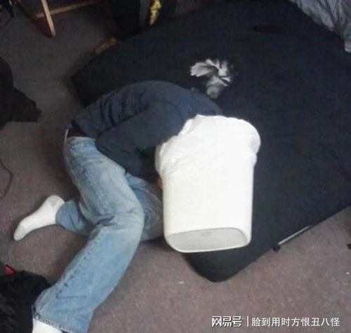 梦见我儿子喝酒醉了吐了，昨晚梦见儿子喝酒喝醉了