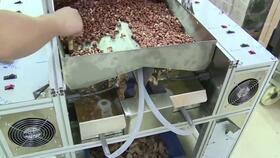 梦见剥麻好不好，梦见剥麻绳是什么意思