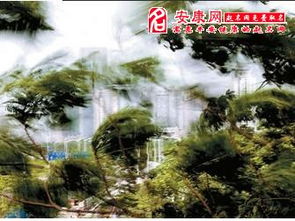 梦见躲避狂风暴雨是什么征兆，梦见狂风暴雨躲雨