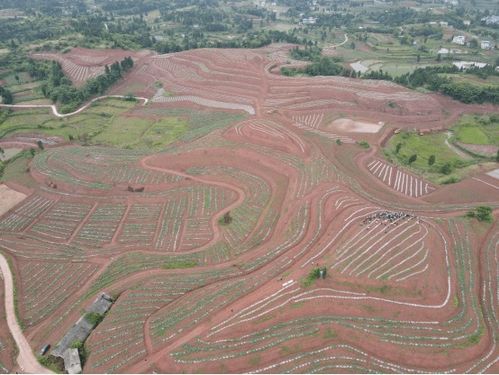 梦见山平了是什么意思，梦见山体垮塌变成平地