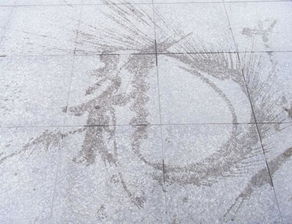 梦见大便地上，梦见屎地上有很多屎