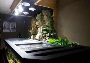 梦见门口有个大缸，梦见门前放一个大棺材