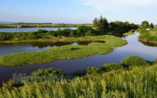 梦到孩子丢了后来找到了，梦见孩子丢了后来又找到了