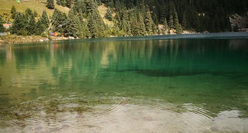 梦见水沟大水，梦到水沟什么意思