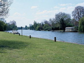 梦见到河边打水，梦见在大河里打水