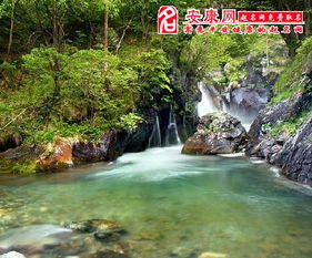 梦到在河里仰泳，梦见河水中游泳