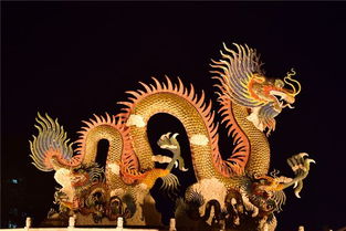 梦到自己是金龙什么预兆，梦见自己是金色的龙