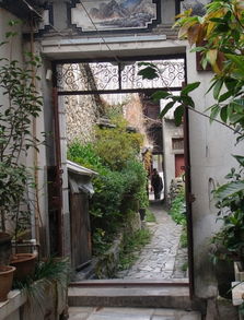 梦见牛进院子，梦见牛闯进院里是什么意思